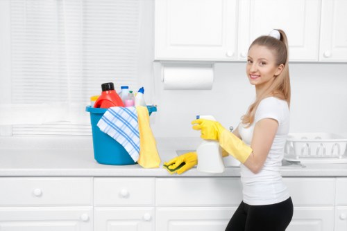 Professional rug cleaning equipment in use