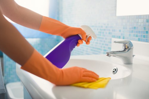 Applying enzyme cleaner for pet stain and odor removal