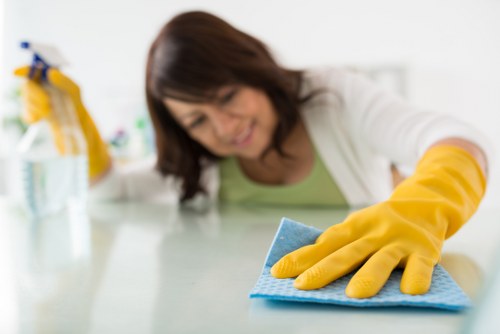 Treating pet stains on a sofa and upholstery