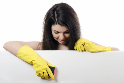 Step-by-step sofa cleaning process for removing dust and stains