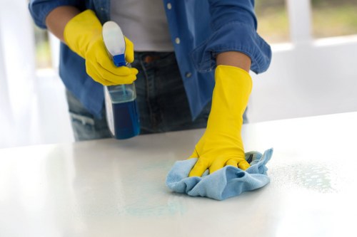 Essential tools for sofa cleaning in a home setting